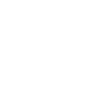 Motorroller Hund