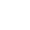 Scooter Cat