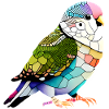 Cockatiel propriétaire d’oiseaux perruches