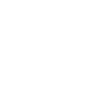 Chicken Hen