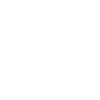 Limited Edition 1977