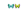Butterfly Lover Gifts