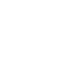 Cat / potrait / face / head