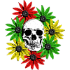 Floral Framed Skull