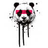 Großer Panda | Pandabär