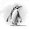 Little Penguin