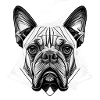 Pug