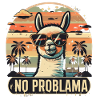 NO PROBNLAMA