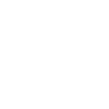 Spider Web Spider