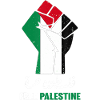 Palestine Fist