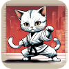 Black Belt karate Cat