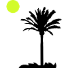 palm tree