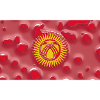 Gift for Kyrgyzstan
