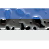 Estonia