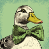 Duck with Bowtie