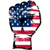 USA Flag Fist Hand Used Symbol
