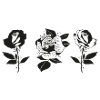 Roses
