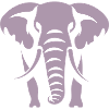 Elephant Silhouette White Logo