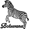 zebra Botswana