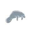 Dugong Manatees Manatee