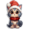 Cat Santa Claus Christmas