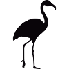 Flamant rose