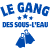 plongée sous-marine, plongeur, plongée