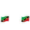 Drapeau de Saint-Kitts-et-Nevis