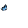 Eichhörnchen mit Schmetterling