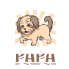 Bolonka Papa - Bolonka Zwetna