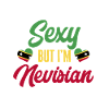 Drapeau de Saint-Kitts-et-Nevis