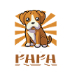 Boxer Dad - Boxer