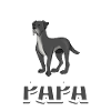 Great Dane Papa - Great Dane