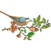 Bunter Vogel