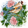 Bunter Vogel