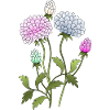 Blumen
