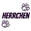 Herrchen Hundehalter Partnerdesign