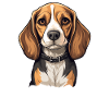 Dog Beagle Harrier
