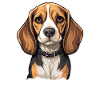 Dog Beagle Harrier