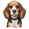 Dog Beagle Harrier