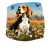 Hund Beagle Harrier