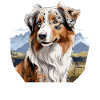 Chien Berger Australien