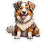 Dog Australian Shepherd