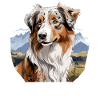 Dog Australian Shepherd
