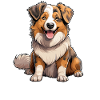 Dog Australian Shepherd