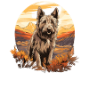 Dog Berger Picard
