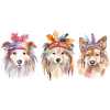Three Dogs