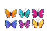 Butterfly Lover Gifts