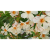 Blumen