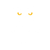 The White Owl's Gaze